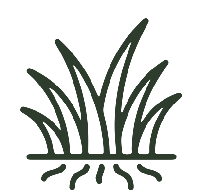 Grass